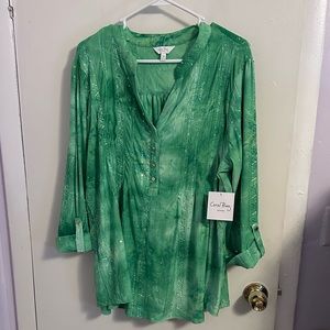 Green! Beautiful blouse by coral Bay size 2X